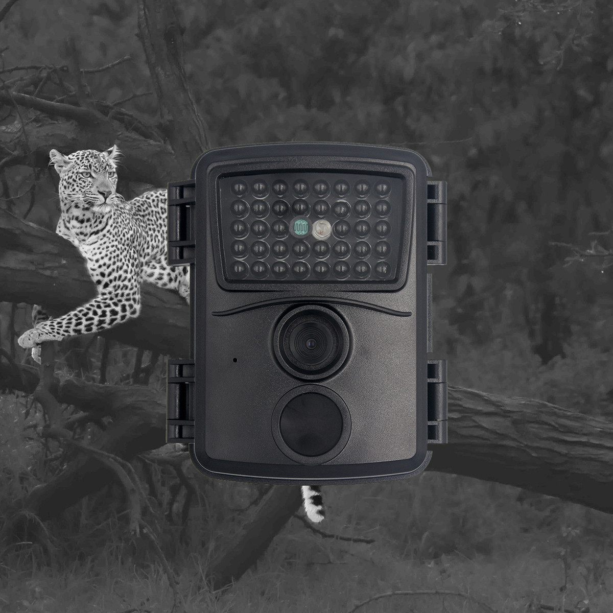 PR600 Night Wildlife Camera animal cameras for outdoors